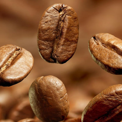 Latteholic coffee beans